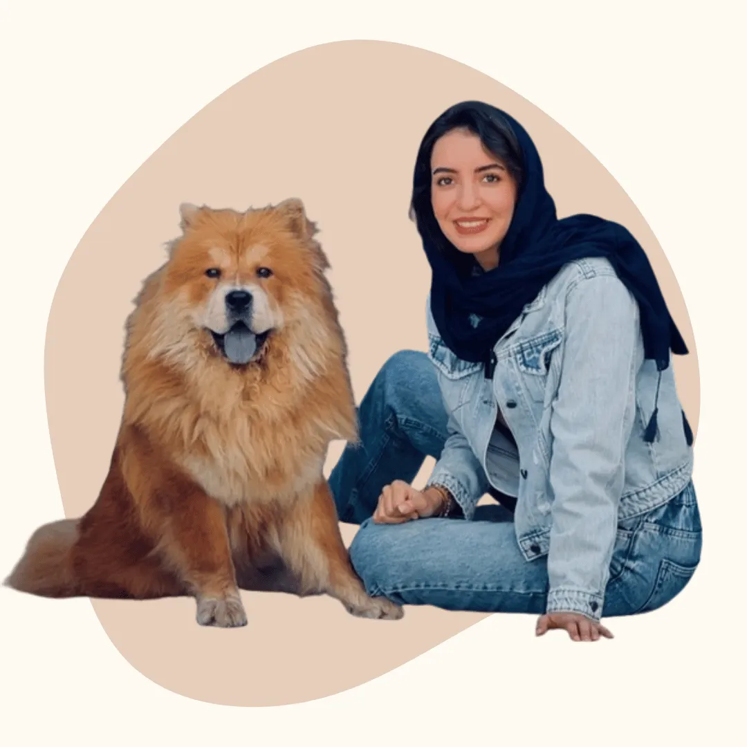 فافا و هرکول